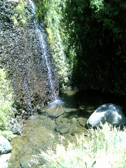 20.07.2015 Bica da Cana, Levada da Serra und Levada do Paul 2 — Levada da Serra, Levada da Bica da Cana und zurück zum Auto — Foto 14