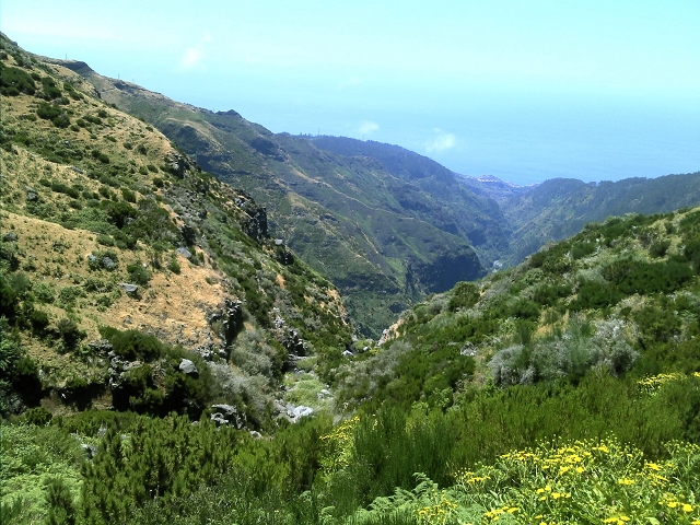 20.07.2015 Bica da Cana, Levada da Serra und Levada do Paul 2 — Levada da Serra, Levada da Bica da Cana und zurück zum Auto — Foto 16