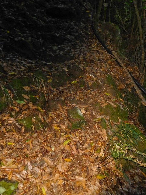 Ascent and descent to Topo das Queimadas — photo 12