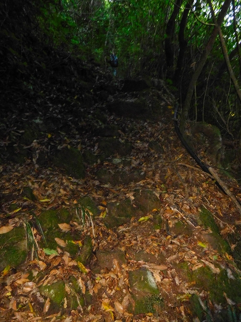 Ascent and descent to Topo das Queimadas — photo 13