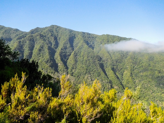 Ascent and descent to Topo das Queimadas — photo 16