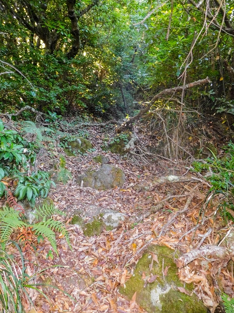 Ascent and descent to Topo das Queimadas — photo 17