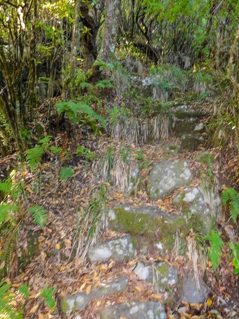 Ascent and descent to Topo das Queimadas — photo 18