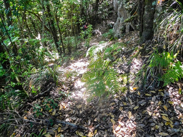 Ascent and descent to Topo das Queimadas — photo 19