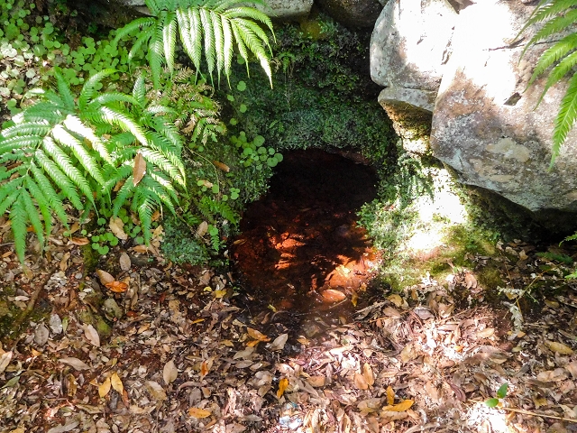 Ascent and descent to Topo das Queimadas — photo 20