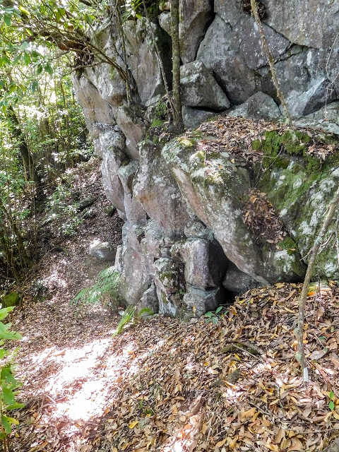 Ascent and descent to Topo das Queimadas — photo 21