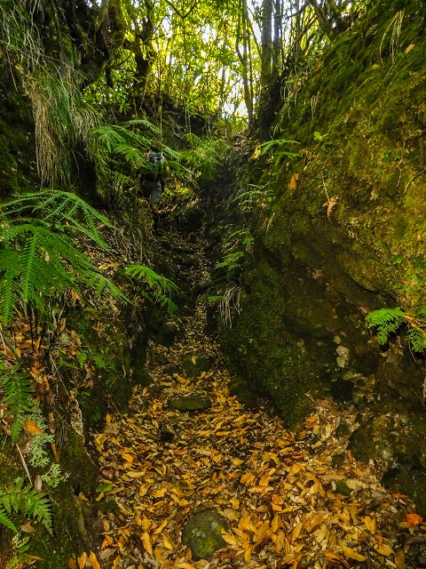 Ascent and descent to Topo das Queimadas — photo 22