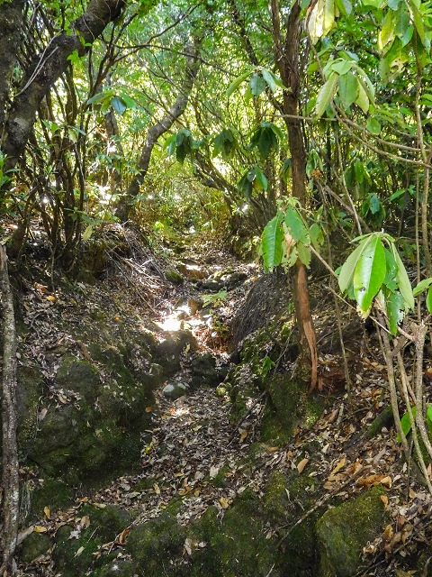 Ascent and descent to Topo das Queimadas — photo 24