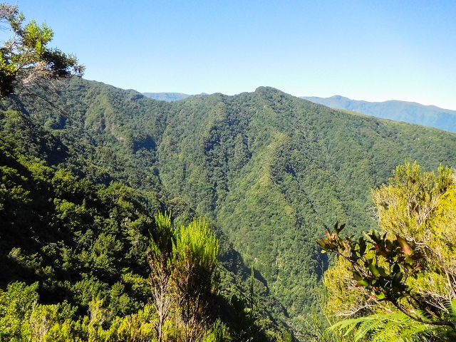Ascent and descent to Topo das Queimadas — photo 25