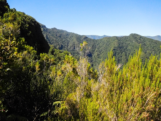 Ascent and descent to Topo das Queimadas — photo 27