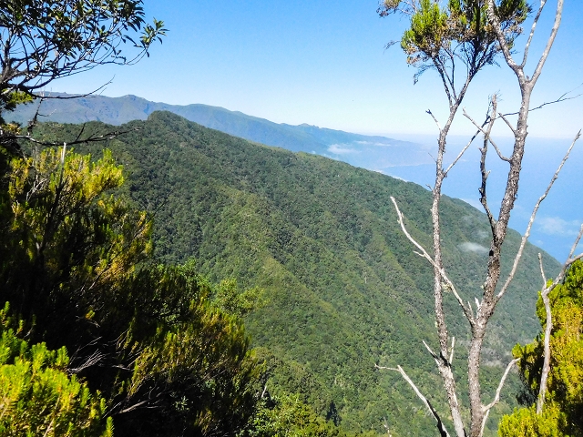 Ascent and descent to Topo das Queimadas — photo 28