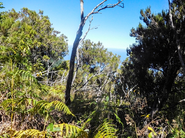 Ascent and descent to Topo das Queimadas — photo 31