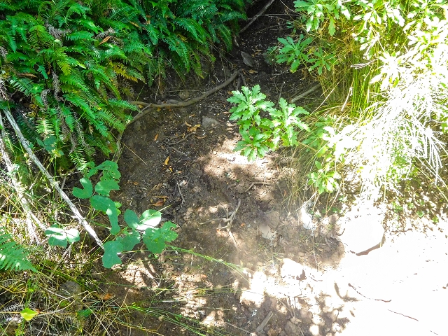 Ascent and descent to Topo das Queimadas — photo 36