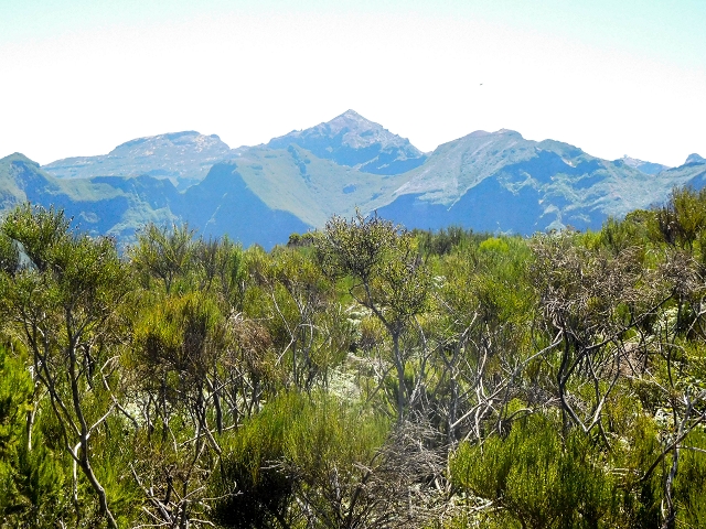 Ascent and descent to Topo das Queimadas — photo 39