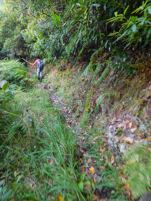 Ascent and descent to Topo das Queimadas — photo 4