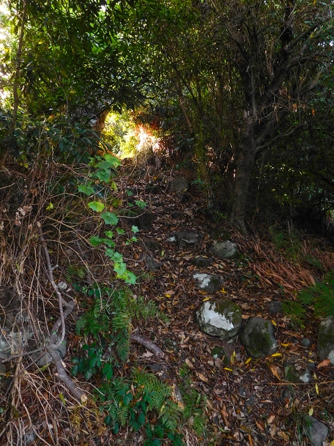 Ascent and descent to Topo das Queimadas — photo 5