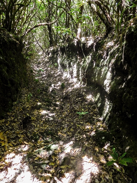 Ascent and descent to Topo das Queimadas — photo 70