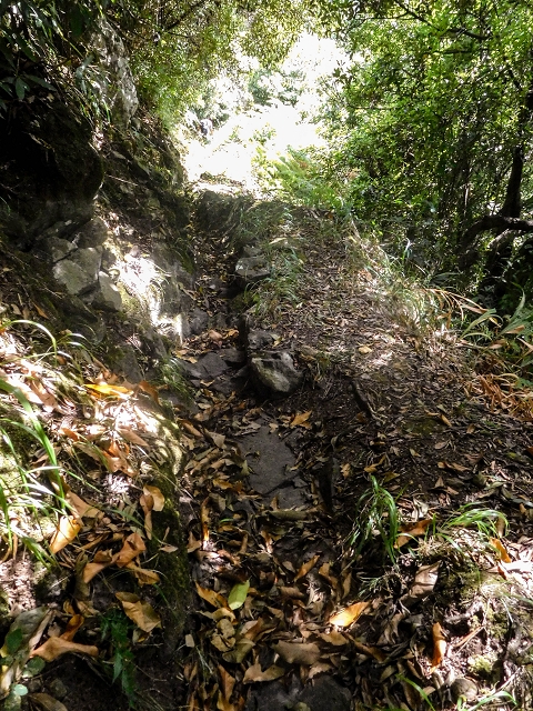 Ascent and descent to Topo das Queimadas — photo 73