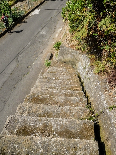 Ascent and descent to Topo das Queimadas — photo 77