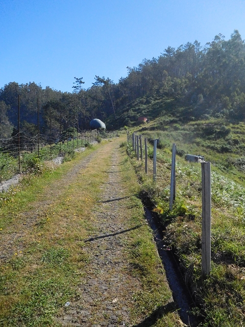 21 June 2016 Levada da Negra and Barreiro — From Barreira to the junction with the feeder road to the panorama road — photo 1