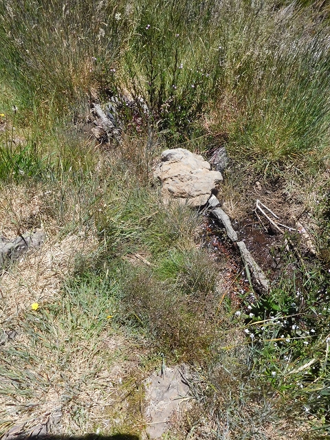 21 June 2016 Levada da Negra and Barreiro — From the start of the Levada do Barreiro to the bed of the side branch of the Ribeira de Santa Luzia — photo 10