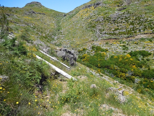 21 June 2016 Levada da Negra and Barreiro — From the start of the Levada do Barreiro to the bed of the side branch of the Ribeira de Santa Luzia — photo 12