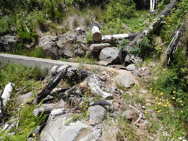 21 June 2016 Levada da Negra and Barreiro — From the bed of the side branch of the Ribeira de Santa Luzia to the turn-off of the upper Escadinhas do Menino Jesus — photo 11