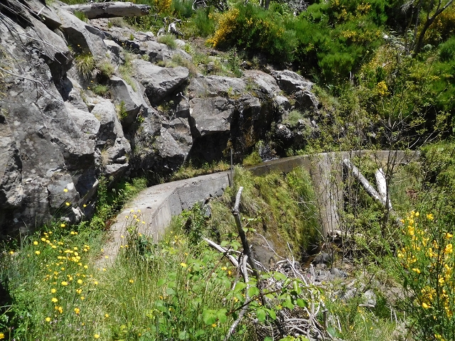 21 June 2016 Levada da Negra and Barreiro — From the turn-off of the upper Escadinhas do Menino Jesus to the gravel track in the Parque Ecologico — photo 1