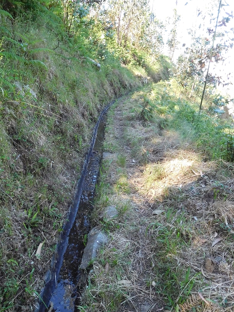 21 June 2016 Levada da Negra and Barreiro — From the junction with the feeder road to the panorama road as far as the Ribeira do Santo Antonio — photo 1