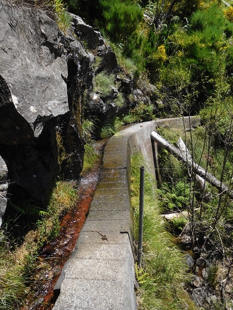 21 June 2016 Levada da Negra and Barreiro — From the turn-off of the upper Escadinhas do Menino Jesus to the gravel track in the Parque Ecologico — photo 2