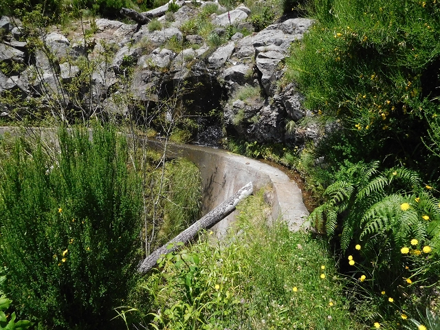 21 June 2016 Levada da Negra and Barreiro — From the turn-off of the upper Escadinhas do Menino Jesus to the gravel track in the Parque Ecologico — photo 3