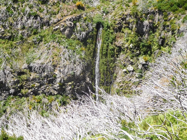 21 June 2016 Levada da Negra and Barreiro — From the turn-off of the upper Escadinhas do Menino Jesus to the gravel track in the Parque Ecologico — photo 6