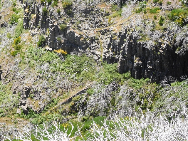 21 June 2016 Levada da Negra and Barreiro — From the turn-off of the upper Escadinhas do Menino Jesus to the gravel track in the Parque Ecologico — photo 7