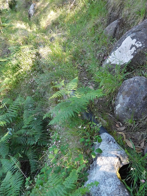 21 June 2016 Levada da Negra and Barreiro — From the junction with the feeder road to the panorama road as far as the Ribeira do Santo Antonio — photo 2