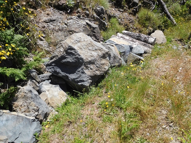 21 June 2016 Levada da Negra and Barreiro — From the turn-off of the upper Escadinhas do Menino Jesus to the gravel track in the Parque Ecologico — photo 12