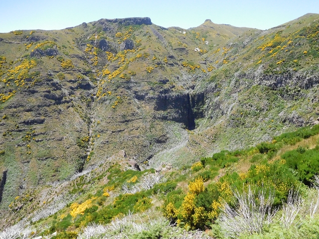 21 June 2016 Levada da Negra and Barreiro — From the turn-off of the upper Escadinhas do Menino Jesus to the gravel track in the Parque Ecologico — photo 17