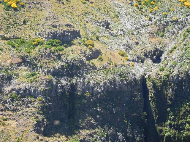 21 June 2016 Levada da Negra and Barreiro — From the turn-off of the upper Escadinhas do Menino Jesus to the gravel track in the Parque Ecologico — photo 20