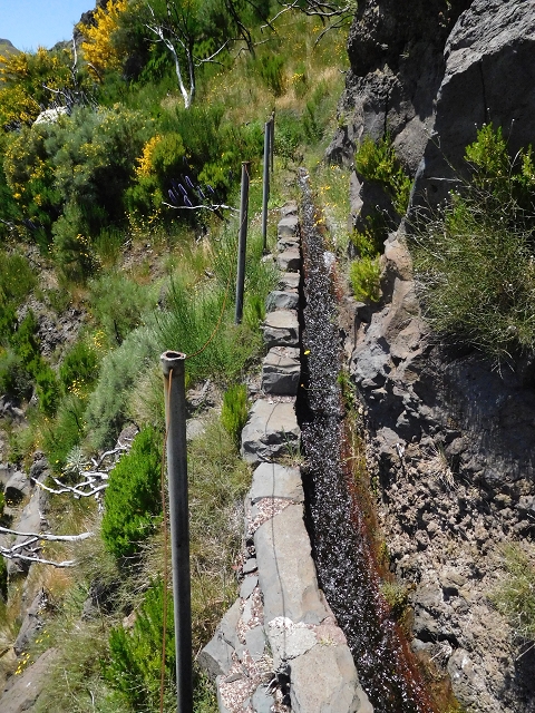 21 June 2016 Levada da Negra and Barreiro — From the turn-off of the upper Escadinhas do Menino Jesus to the gravel track in the Parque Ecologico — photo 23