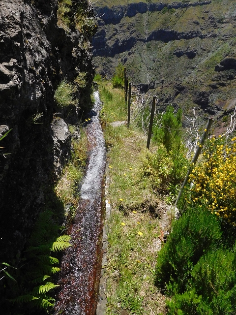 21 June 2016 Levada da Negra and Barreiro — From the turn-off of the upper Escadinhas do Menino Jesus to the gravel track in the Parque Ecologico — photo 29