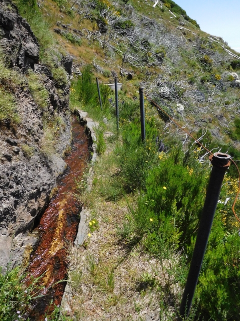 21 June 2016 Levada da Negra and Barreiro — From the turn-off of the upper Escadinhas do Menino Jesus to the gravel track in the Parque Ecologico — photo 31