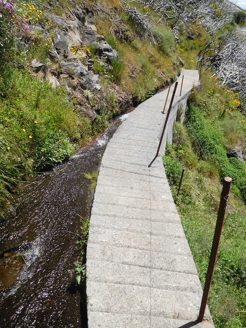 21 June 2016 Levada da Negra and Barreiro — From the turn-off of the upper Escadinhas do Menino Jesus to the gravel track in the Parque Ecologico — photo 32