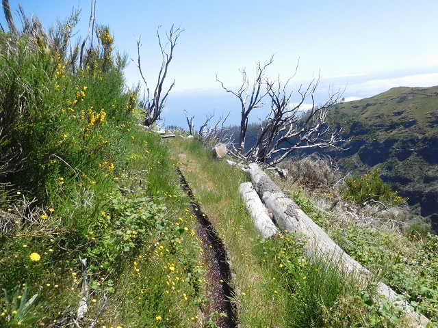 21 June 2016 Levada da Negra and Barreiro — From the turn-off of the upper Escadinhas do Menino Jesus to the gravel track in the Parque Ecologico — photo 35