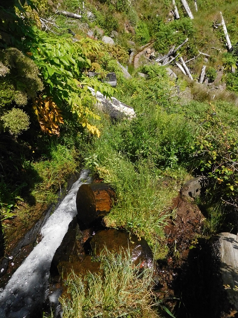 21 June 2016 Levada da Negra and Barreiro — From the turn-off of the upper Escadinhas do Menino Jesus to the gravel track in the Parque Ecologico — photo 39