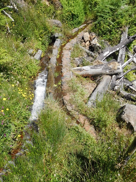 21 June 2016 Levada da Negra and Barreiro — From the turn-off of the upper Escadinhas do Menino Jesus to the gravel track in the Parque Ecologico — photo 40