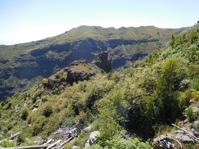 21 June 2016 Levada da Negra and Barreiro — From the turn-off of the upper Escadinhas do Menino Jesus to the gravel track in the Parque Ecologico — photo 41