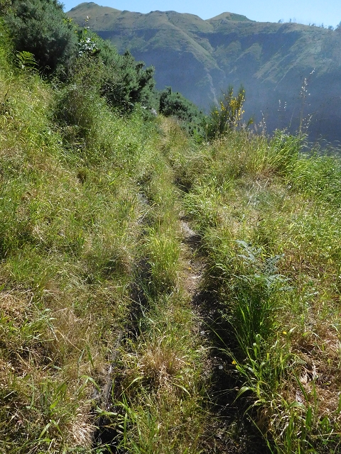 21 June 2016 Levada da Negra and Barreiro — From the junction with the feeder road to the panorama road as far as the Ribeira do Santo Antonio — photo 5