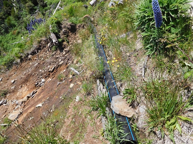 21 June 2016 Levada da Negra and Barreiro — From the turn-off of the upper Escadinhas do Menino Jesus to the gravel track in the Parque Ecologico — photo 42
