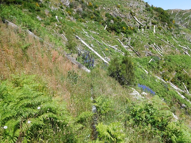 21 June 2016 Levada da Negra and Barreiro — From the turn-off of the upper Escadinhas do Menino Jesus to the gravel track in the Parque Ecologico — photo 43
