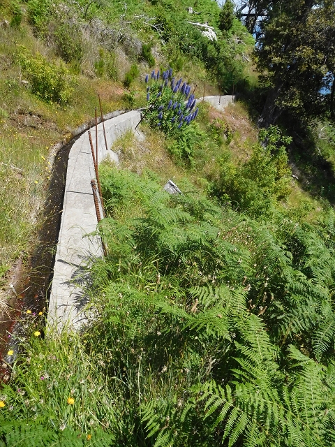 21 June 2016 Levada da Negra and Barreiro — From the turn-off of the upper Escadinhas do Menino Jesus to the gravel track in the Parque Ecologico — photo 48