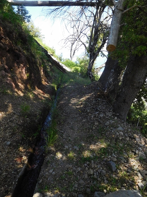 21 June 2016 Levada da Negra and Barreiro — From the turn-off of the upper Escadinhas do Menino Jesus to the gravel track in the Parque Ecologico — photo 49